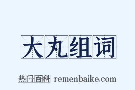 大丸组词是什么意思的图片